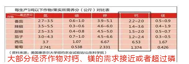 今天来聊聊“钙肥”这个懒惰的小家伙~
