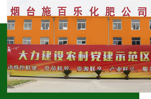 公司简介