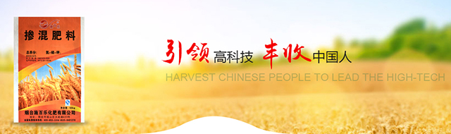 金年会金字招牌至上网站
